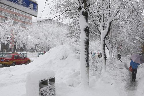 黑龙江鹤岗降雪破纪录,鹤岗破纪录大雪来袭