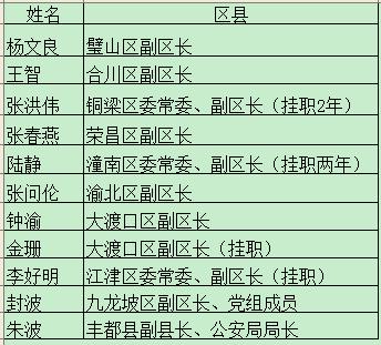 重庆市最新人事任免,“重庆最新人事调整公布”