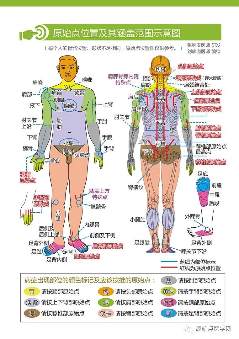 原始点最新案例,最新原始点病例分享