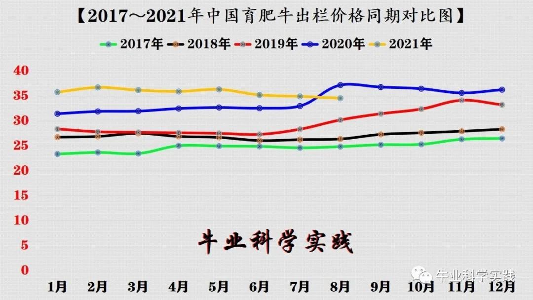 全国牛价最新价格,最新全国牛肉价格行情