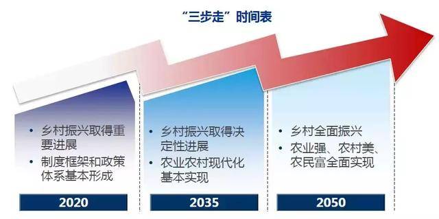 白小姐今晚特马期期准六,实时更新解析说明_特惠款R49.417