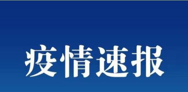 全球疫情最新消息今天,今日全球疫情动态速报。