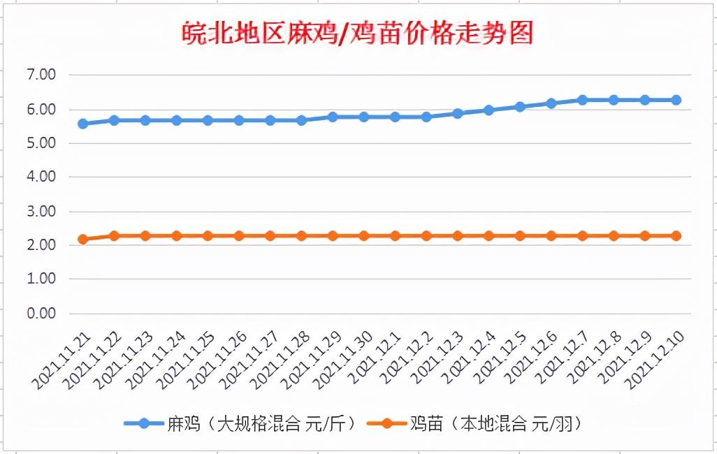 麻鸡最新价格,“麻鸡市价实时追踪，最新行情一览无遗。”