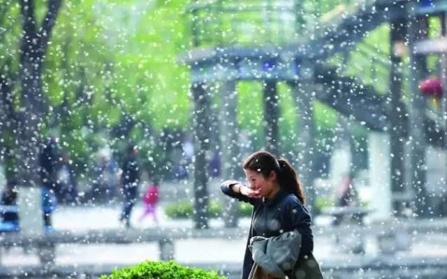 雪落人间万物都裹上了浪漫,人间飘雪万物披浪漫之纱