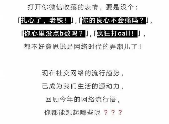 网络最新流行语,紧跟时代脉搏，最新网络潮语盘点。