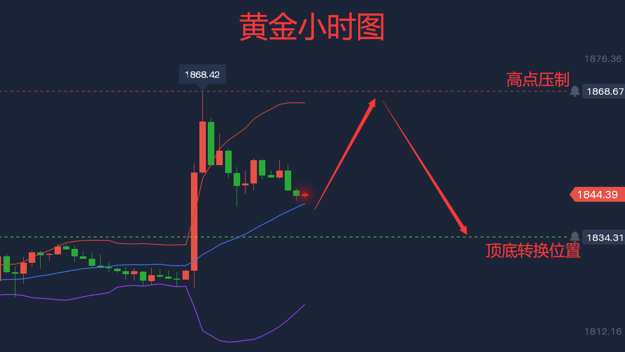 金六福黄金最新价格,“金六福金价动态：最新金价走势解析”