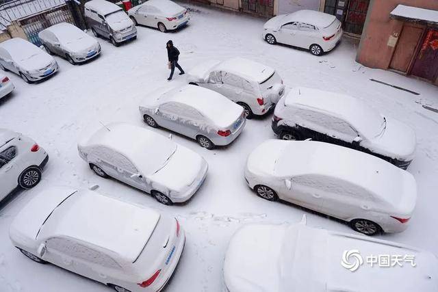 哈市最新天气,哈尔滨市区迎来今冬首场强降雪。