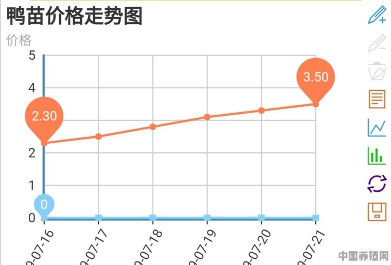 鸭苗最新价格,鸭苗市场价格波动频繁，最新报价持续更新。