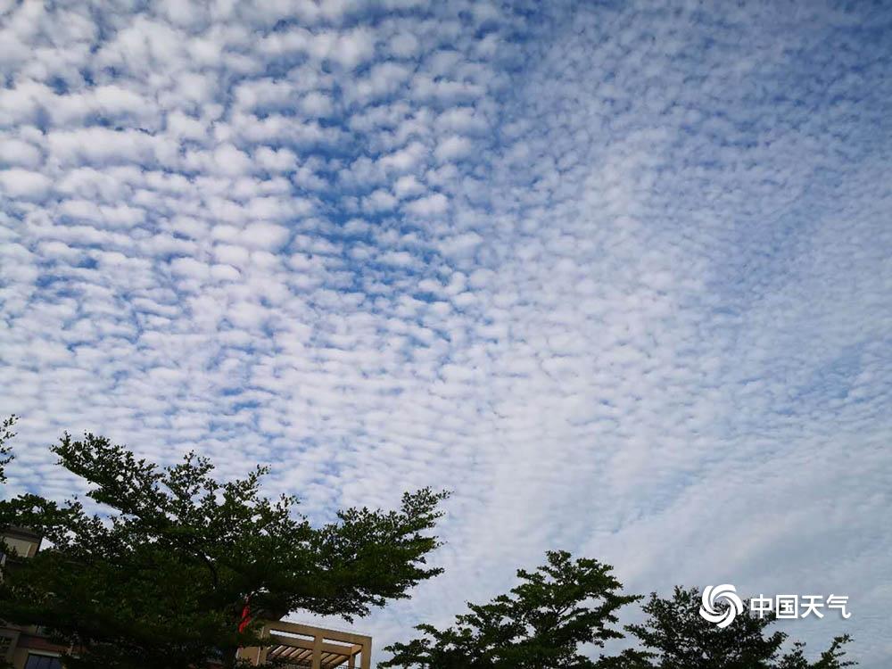 地震最新消息今天山东,今日山东地震最新动态。