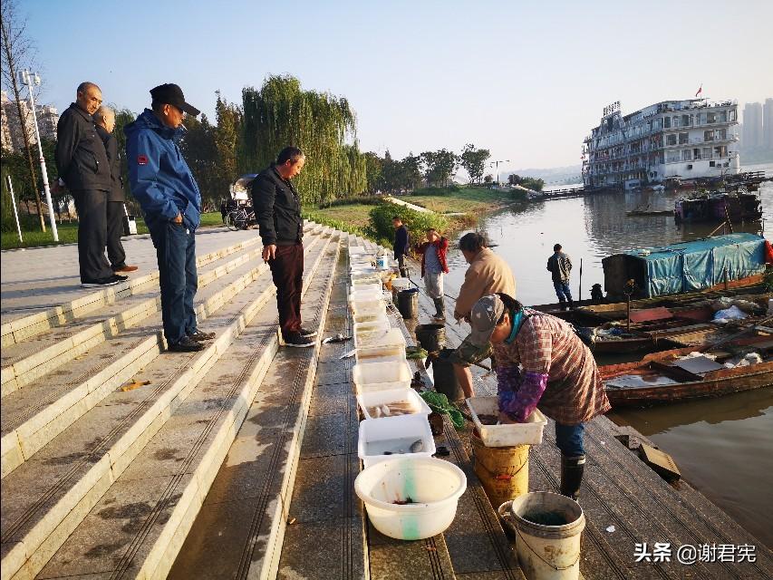 最新版鱼人,全新升级的捕鱼达人。