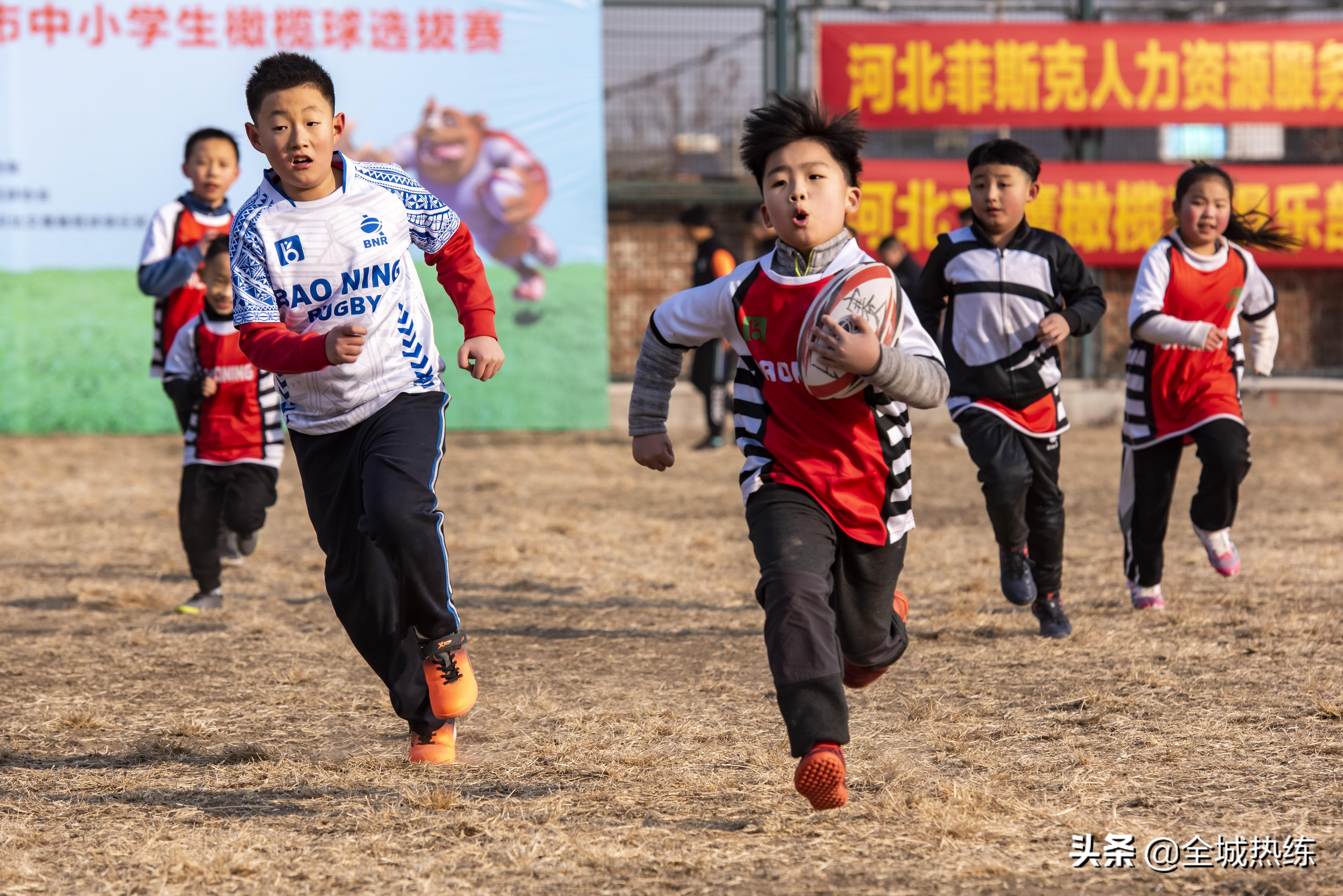 石家庄小学最新排名,石家庄小学排名再掀热议，新鲜榜单揭晓！