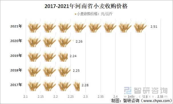 运城小麦价格最新行情,运城小麦市价涨势强劲，最新动态速览。