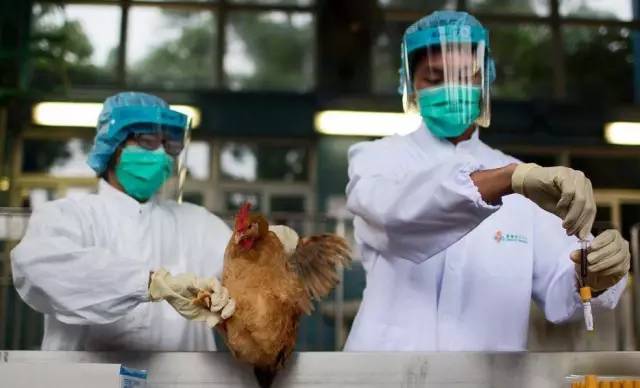 最新h7n9疫情,持续关注的H7N9疫情新动态。