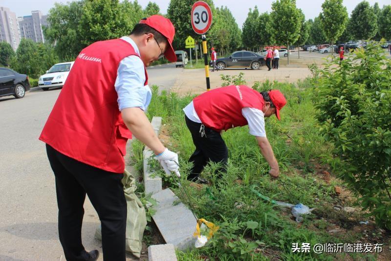 临港工业园最新招聘,临港工业园高薪诚聘精英加盟！