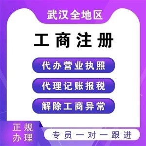 武汉注册公司流程最新,最新武汉公司注册流程详解出炉