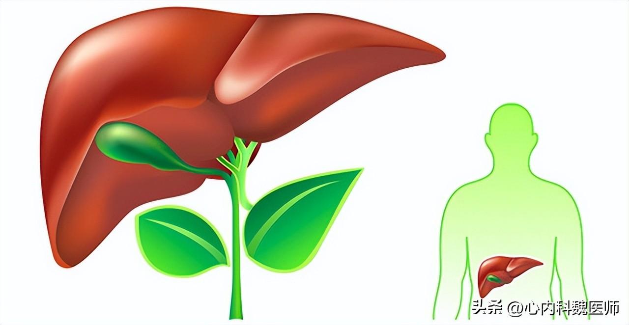 治疗乙肝的最新中成药,探索乙肝治愈的全新中成药突破。