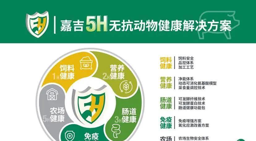 揭秘维达宝奶粉的最新事件：健康风险警示与消费者权益探索