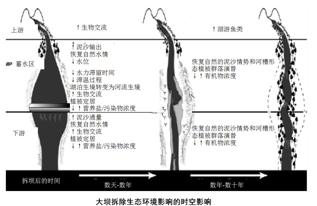 揭秘甘霖水库最新动态：探索水位变化与生态环境反应的警示