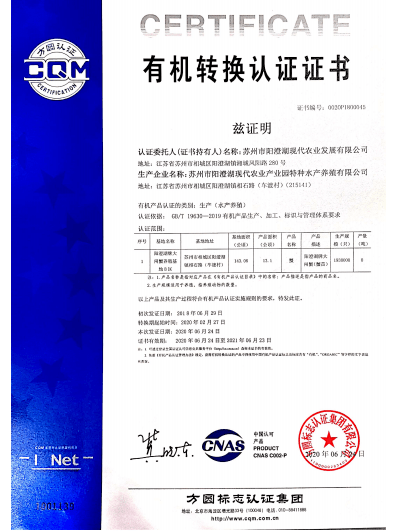 澳门今天晚上开什么特马,实现百分之百中奖的奇迹！_珍稀版E6.907