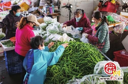 济南匡山蔬菜最新报价,济南匡山蔬菜市场价格资讯