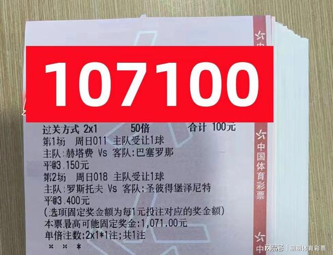 2024新澳门天天开好彩大全,科学研究解释定义_竞赛款O75.567