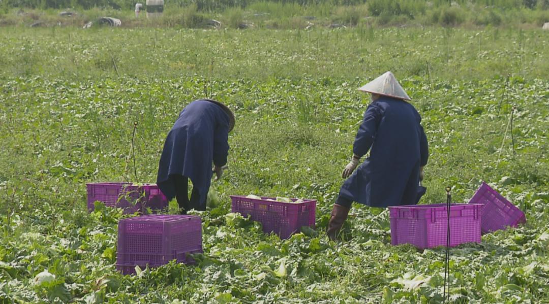 花开不败_1 第2页