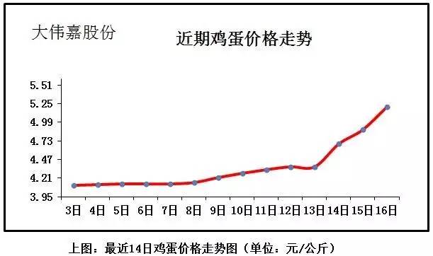 惠民鸡蛋最新价格,便民鸡蛋现价速览