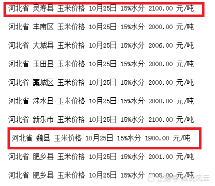 今日河北最新玉米价格,河北玉米市场今日报价