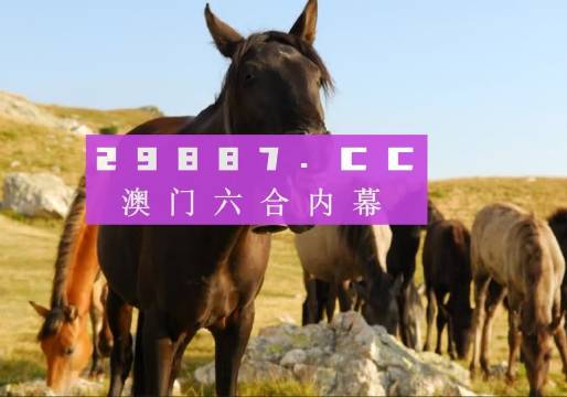 2023澳门管家婆资料正版大全,深入剖析解答解释原因_对抗集V94.29