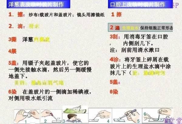 澳门正版资料大全资料生肖卡,集成解答解释落实_学生集J3.851