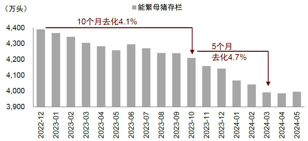 2024全年资料免费大全优势,市场实施趋势方案_可调集Z46.280