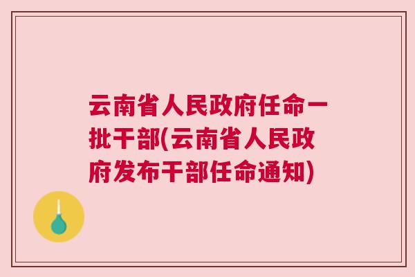 云南省最新干部任命,“云南干部任命动态更新”