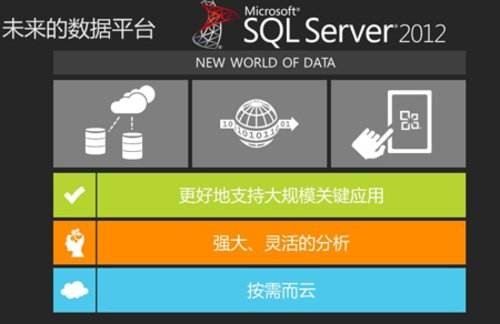 2024澳门精准正版｜全面数据执行计划｜编程集R43.132