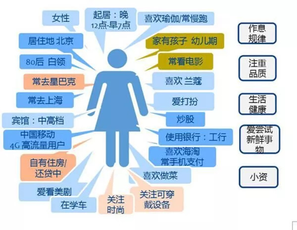 新澳精选资料免费提供｜实地数据解析评估｜用户版R22.789