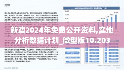 2024新澳最精准资料｜实证研究解释定义_斗争版G38.407